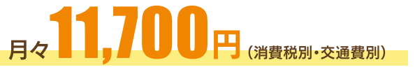 月々11,700円(消費税別・交通費別)