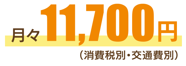 月々11,700円(消費税別・交通費別)
